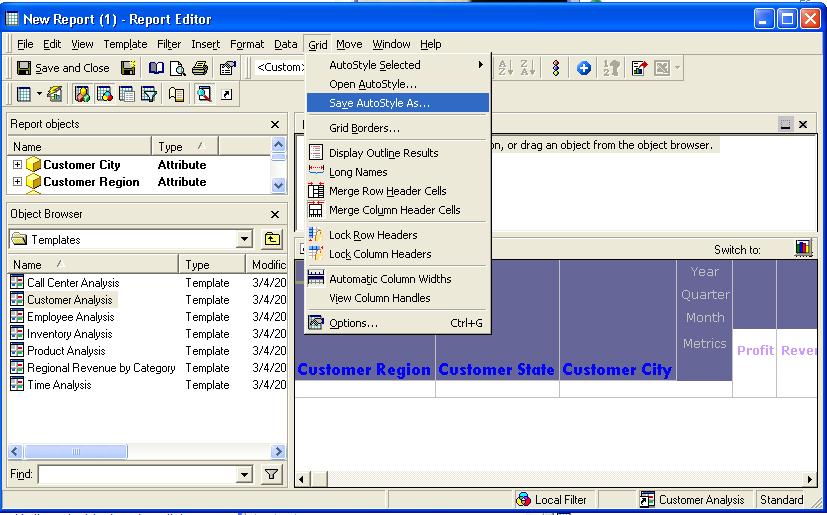 Screenshot van MicroStrategy Web Report Editor software.