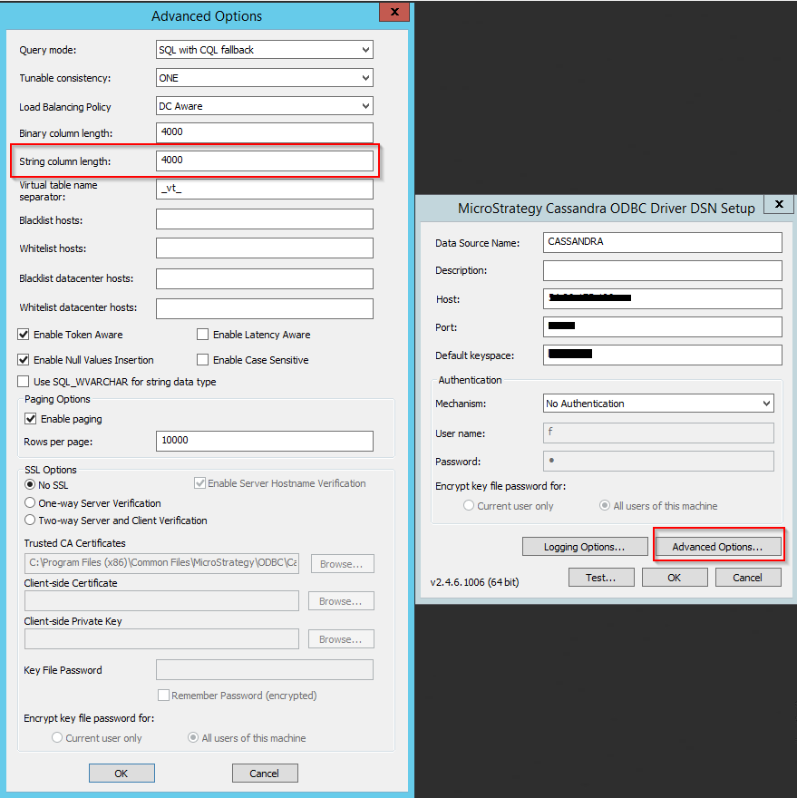 Cassandra String Datatype Performance Degradation
