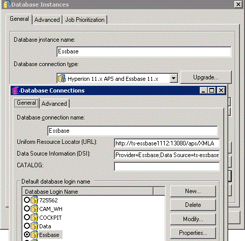 Developing Essbase Applications: Hybrid Techniques and