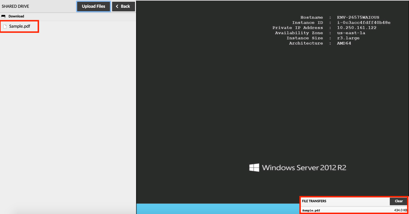 How to use Guacamole to copy and paste text or files in MicroStrategy